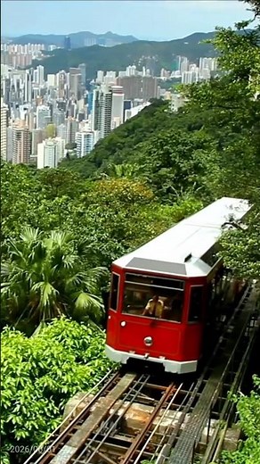Hong Kong travel tips: what to do today #ytshorts