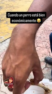 1.7M views · 56K reactions | Erda el rrope #doblajequillero #comedia #humor #costeños #animales #barranquilla #perros | Doblaje Quillero Inc. | Facebook