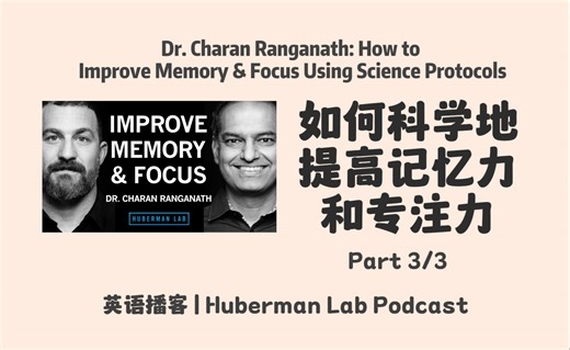 【 Huberman Lab】如何科学地提高记忆力和专注力？ part 3/3 | 英语播客 Podcast