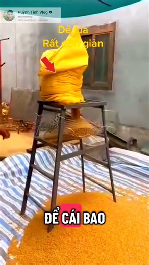 Small invention... automatic rice threshing tool #videoviral #trending