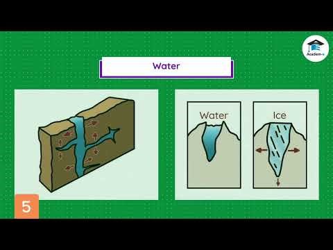SCIENCE05L25: Weathering