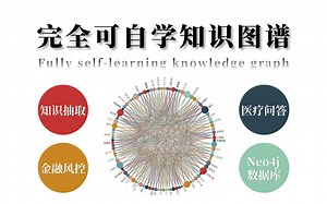 【完全可自学知识图谱】同济迪哥花六小时手把手教学知识抽取、金融风控、医疗问答及neo4j数据库实战等多个模块，比自学效果强多了！