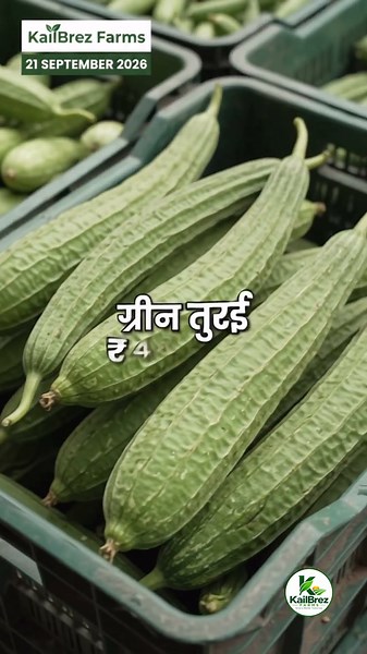 मुहाना मंडी में आज ₹150 तक पहुंचा भाव 😱 | आज के मंडी भाव | Jaipur Mandi #food #onlyjeeranabhav