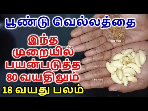 பூண்டு வெல்லத்தை இந்த முறையில் பயன்படுத்த 80 வயதிலும் 18 வயது உங்க உடலை மாற்றிவிடும்|Garlic-Jaggery