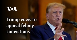 Trump vows to appeal felony convictions