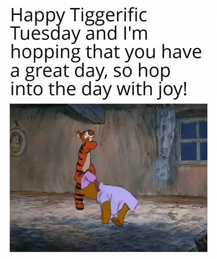 Happy Tiggerific Tuesday y'all 😅😅 #funnyvideo #funny #humor #tuesdaymotivation #memes #tigger | Funny thoughts and jokes.