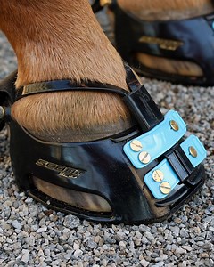 Mud Straps - The Why, The When 🧐 Why use Mud Straps: Mud Straps are the ultimate riding accessory for those who like it extreme. The Mud Strap provides unparalleled security in deep mud and when riding over rough terrain. It is a long double-sided strap that is fitted between the rear vertical shank of the Scoot and over either side of the pastern. It is secured by the Mud Strap Collar and the Front Straps. When to use Mud Straps: The Mud Strap has two purposes: 1. Provides ultimate security wh