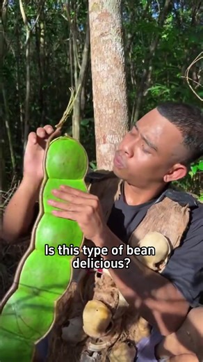 Exploring the Fascinating World of Beans