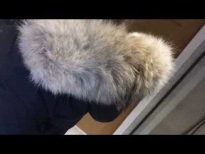 Canada Goose Chilliwack bomber