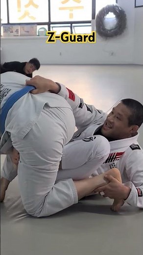 Z-Guard #ZGuard
