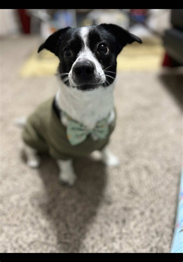 This is me raw, real, and uncut. No filters, no perfection. Just a reminder that real bodies exist and real routines don’t have to be perfect 🤍 #nighttimeroutine #beingmyself #viral #fyp #petlover