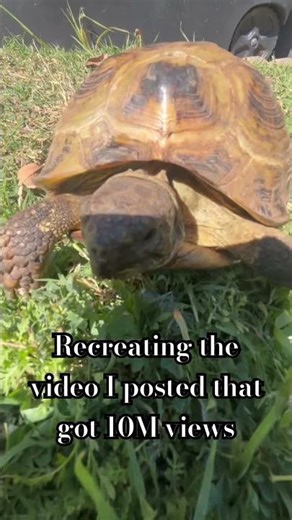 Recreating the video I posted from the main account I lost ‪@FergBro1‬