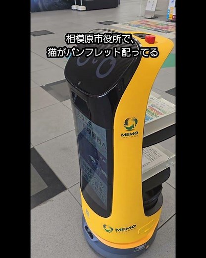 ​相模原市役所にネコ型ロボットがいた！🐈🤖レストランじゃなくて、一生懸命パンフレット配っててびっくり。初めて見たけど、健気に動いてて癒される…✨#相模原市 #ネコ型ロボット #おださが不動産