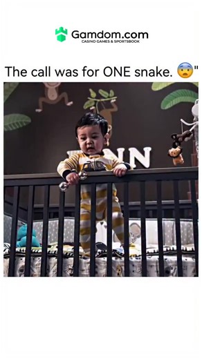 _movie_magic_hub on Instagram: "📺 Title 9-1-1: Lone Star (TV Series, 2020–Present) 📝 Short Summary of the Scene The clip shows the Austin Fire Department responding to a panicked 9-1-1 call about a large rattlesnake in a baby’s nursery. The team, led by Captain Owen Strand (Rob Lowe), locates the snake and realizes it likely entered through a crack in the home’s foundation. When they ask the father where the mother is (she is down in the basement doing laundry), they realize the situation is m