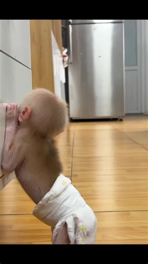 Baby Monkey Dress Change: A Sweet Moment