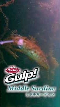 Gulp! ミドルサーディン2.7インチ【バークレイ】