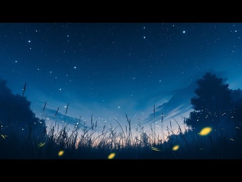 Summer Night — 10 Hours — Crickets + Frogs + Owls | Black Screen