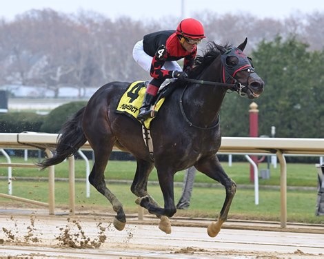 Doc Sullivan, Khali Magic Win New York Stallion Stakes