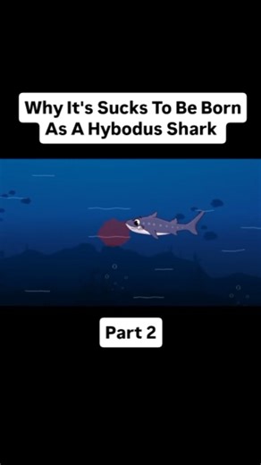 Story Ai on Instagram: "Why It's Sucks To Be Born As A Hybodus Shark 🎥 Credits: All rights to the respective owner. Used under fair use for educational/inspirational purposes. #instagram"