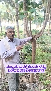 ವಿಶೇಷ ವಿಭಿನ್ನ ರೀತಿಯ ಸಮಗ್ರ ನೈಸರ್ಗಿಕ ಕೃಷಿಕ ಶ್ರೀನಿವಾಸ ರೆಡ್ಡಿಯವರ ತೋಟ ನಿಜಕ್ಕೂ ಮಾದರಿ | Sustainable agriculture India - Nirman ಸುಸ್ಥಿರ ಕೃಷಿ ಭಾರತ - ನಿರ್ಮಾಣ