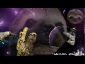 Sloths in space 10 hours