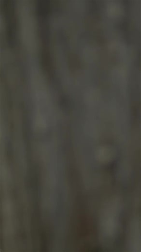 1.8K views |  Black Friday Sale is LIVE! – Get UP TO 60% OFF on Outdoor Must-Haves! ⛺ Gear up for adventure with DOD Outdoors!  Explore our vast selection of outdoor essentials for your next journey. ⛺️ From camping gear to hiking equipment, we've got you covered. Discover the great outdoors with DOD Outdoors today! ️ | DOD Outdoors USA | Facebook