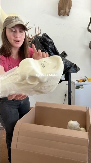 Unboxing a taxidermy supply order from G2! 🦌 #art #taxidermy #wildlifeart #deermount #deer
