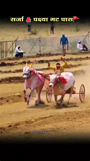 सर्जा & पक्ष्या गट पास🚩