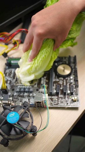 Please don’t turn on the PC with LETTUCE