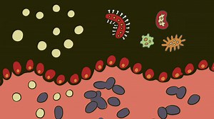 What does nutrition have to do with diarrhea? Check out our latest blog to find out: https://www.defeatdd.org/blog/what-does-nutrition-have-do-diarrhea?utm_source=facebook&utm_medium=social&utm_campaign=September2024&utm_content=NutritionBLOG | DefeatDD | Facebook