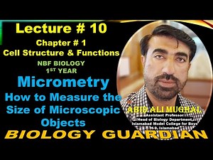 Micrometry | How to Measure the Size of Microscopic Objects | Lecture 10 Ch-1 NBF Biology 11