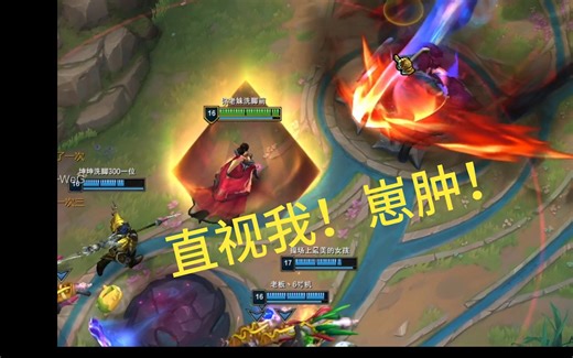 在大乱斗里面，请叫我梅尔大人！