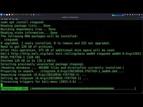 Flag Hunt 🎌 Challenge KnightCTF 2024 Walkthrough | #ctf #ethicalhacking #cybersecurity