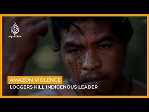 Brazil Amazon forest defender shot dead by illegal loggers