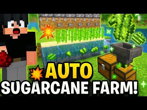 Minecraft Auto Sugarcane Farm Tutorial 2025