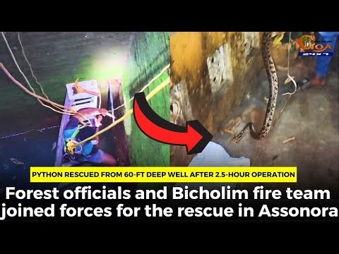 Python rescued from 60-ft deep well after 2.5-hour operation.