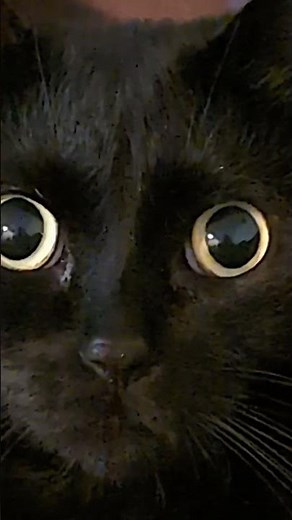 She loves temptations treats ❤️