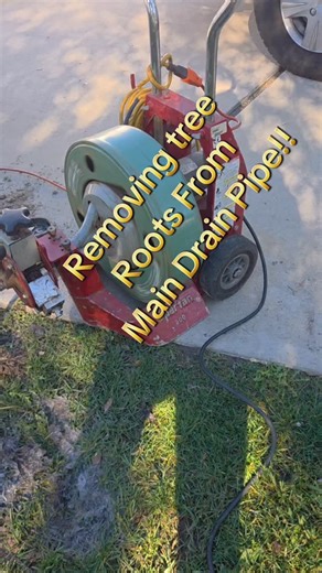 Plumbing & Rooter Drain Plumber on Instagram: "TREE ROOTS REMOVAL FROM MAIN SEWER DRAIN IN GLENDALE CA 📞🛠🪠 JV Rooter and Plumbing Services 👨‍🔧 ROOTER DRAIN CLEANING 🔧🏠 HYDRO JETTING SERVICE ✔️ PLOMERO 🪠🛠 LOCAL PLUMBER 🪠✔️ UNCLOG STOPPAGES 🚺 COPPER REPIPES ✔️ SEWER DRAIN CAMERA INSPECTION 👌✅️ WATER HEATER 🛠 💧 FONTANERO 🛠 GAS LEAK REPAIRS 💧🛠 PRESSURE REGULATORS ✔️ FAUCETS 🛠 TOILETS 🏠🪠DRAIN REPAIR 🔧📞RESIDENTIAL PLUMBING SOLUTIONS 🪠🏠 CALL/TEXT US NOW📞 310 505 2477 🪠🏠📞 818