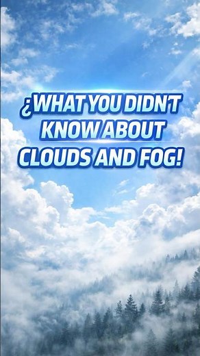 ☁️ Clouds vs Fog. What’s the REAL Difference?