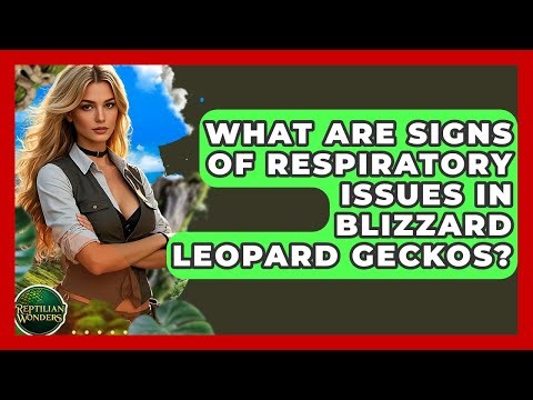 What Are Signs Of Respiratory Issues In Blizzard Leopard Geckos? - Reptilian Wonders