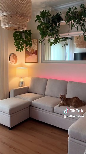 Amazon Modular Sleeper Sectional Sofa