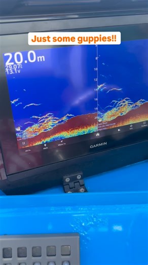 Ryan Moody Fishing | Angling Expert & Educator on Instagram: "Just some guppies down there! Gotta get through the trevally first tho. Love finding these little spots holding great fish. Plenty out there just need to know how to find them! Hint: our Finding Fingermark course (also works for Snapper). Whats your favourite eating fish?"