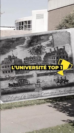 La meilleure université du monde #harvard