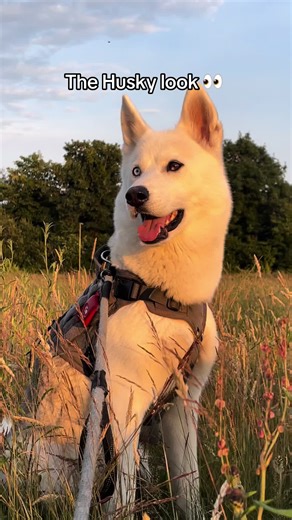 parti_eyed_blu on TikTok