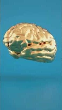 How Does Einstein's Theory of General Relativity Explain Gravity ?