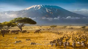 548K views · 10K reactions | Rudhra. Mandakini. Kumbha. Experience #Varanasi To the world - The beginning of what’s ahead ❤️❤️ SS Rajamouli Mahesh Babu Priyanka Chopra MM Keeravaani | Prithviraj Sukumaran | Facebook