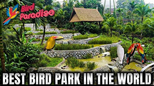Singapore Bird Paradise Park Tour 4K