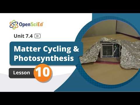 Unit 7.4 Lesson 10 Planning Video | OpenSciEd On-Demand Resources