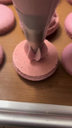 Raspberry French macarons 🙌 are an elegant pastry 😍featuring light, chewy shells and a sweet tart filling. They are a popular flavor combination 🙌#frenchmacarons #lovemacarons #raspberry #raspberries🍇 #baking #dessert | Yvettes Macarons