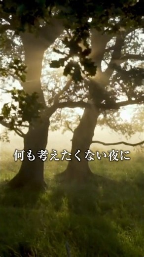 超熟睡 神秘的な森の鳥の声とアンビエント【黒画面・8時間】/睡眠導入/安眠/リラックス/ストレス解消/作業用/勉強用/チル/チルアウト/不眠症解消/疲労回復/